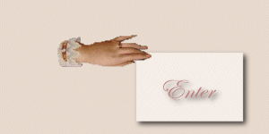 Enter